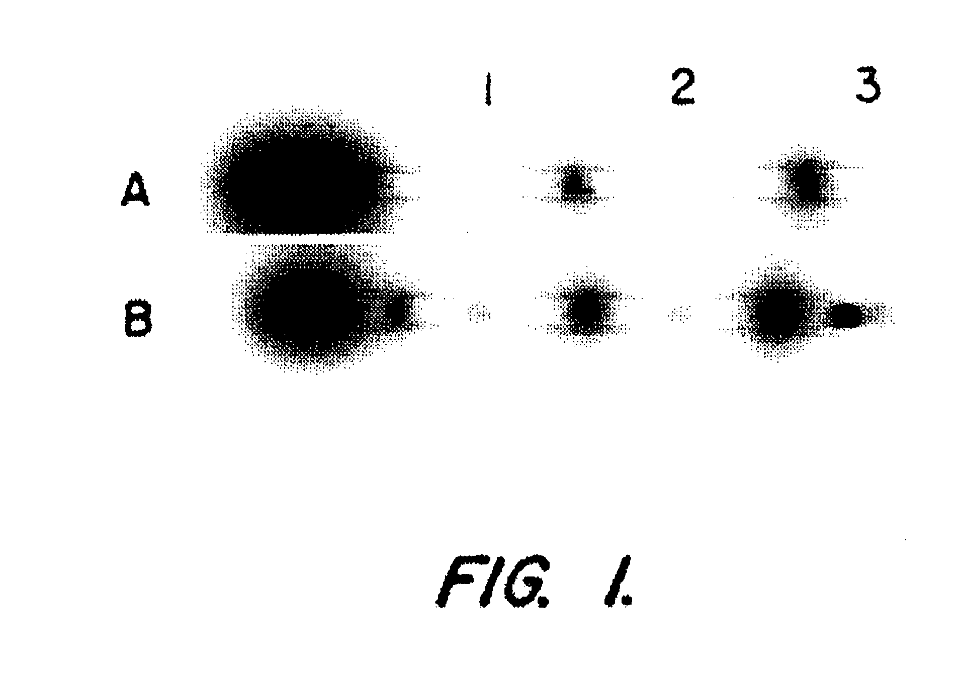 Method to reduce the physiologic effects of drugs on mammals