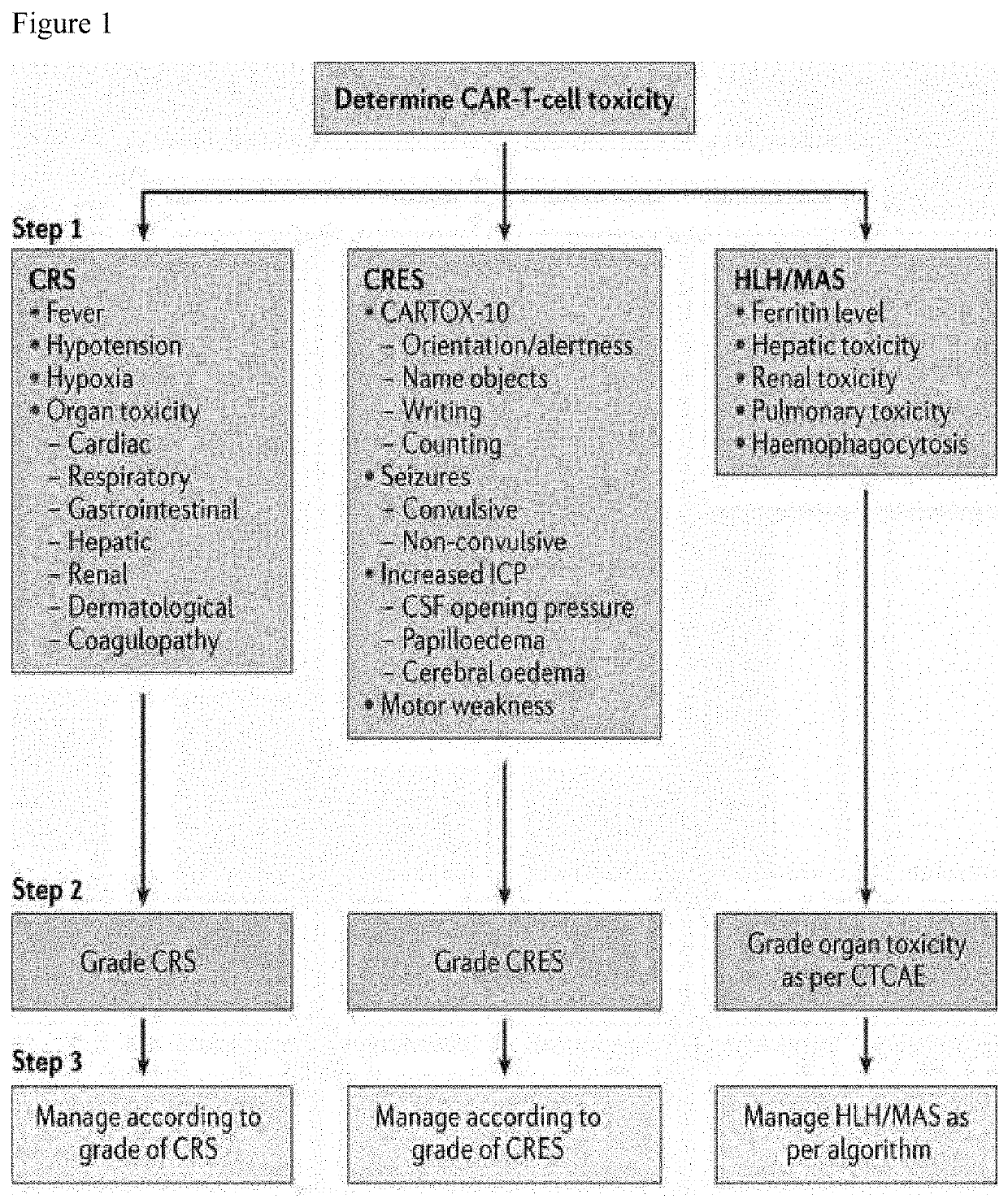 Defibrotide for the prevention and treatment of cytokine release syndrome and neurotoxicity associated with immunodepletion