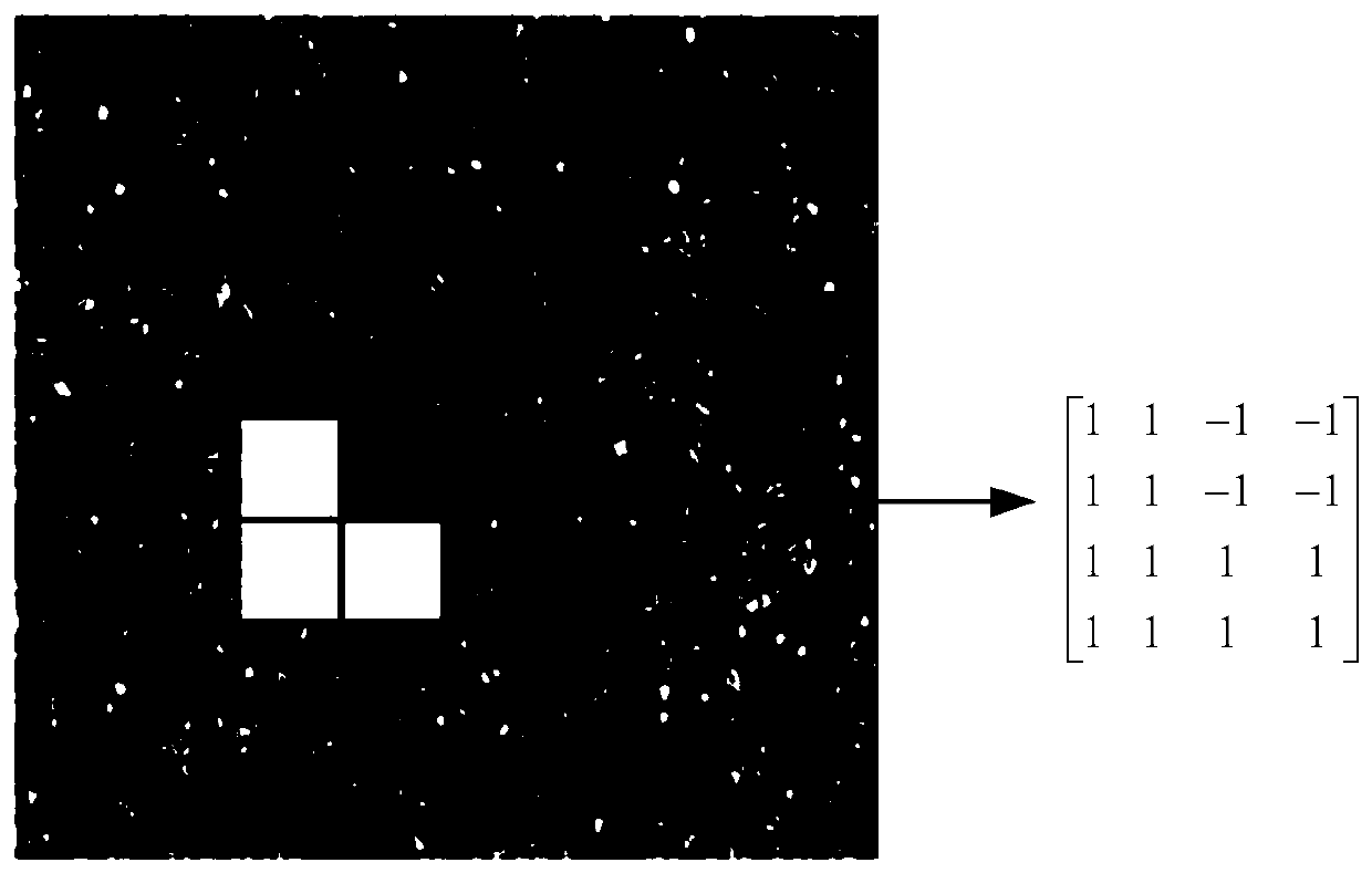 Image feature extraction method and device, tumor recognition system and storage medium