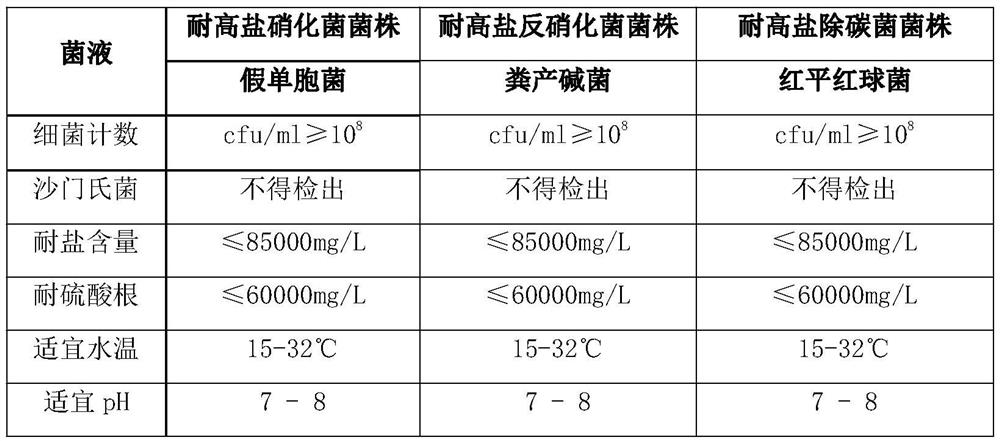 A method for promoting rapid start-up of denitrification and decarbonization system by using high-salt-tolerant strains