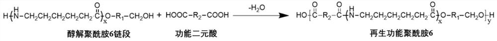 Preparation method of micro-alcoholysis functional regenerated polyamide 6