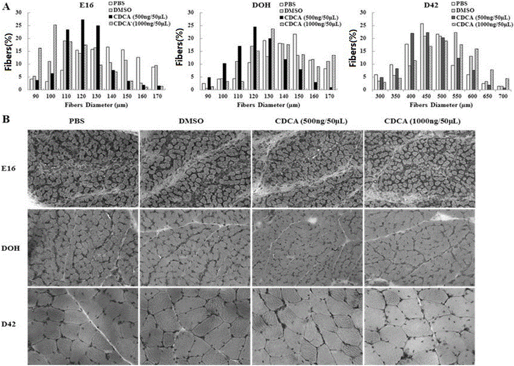 Method for injecting bile acid into embryo eggs for improving growth of hatched chicks