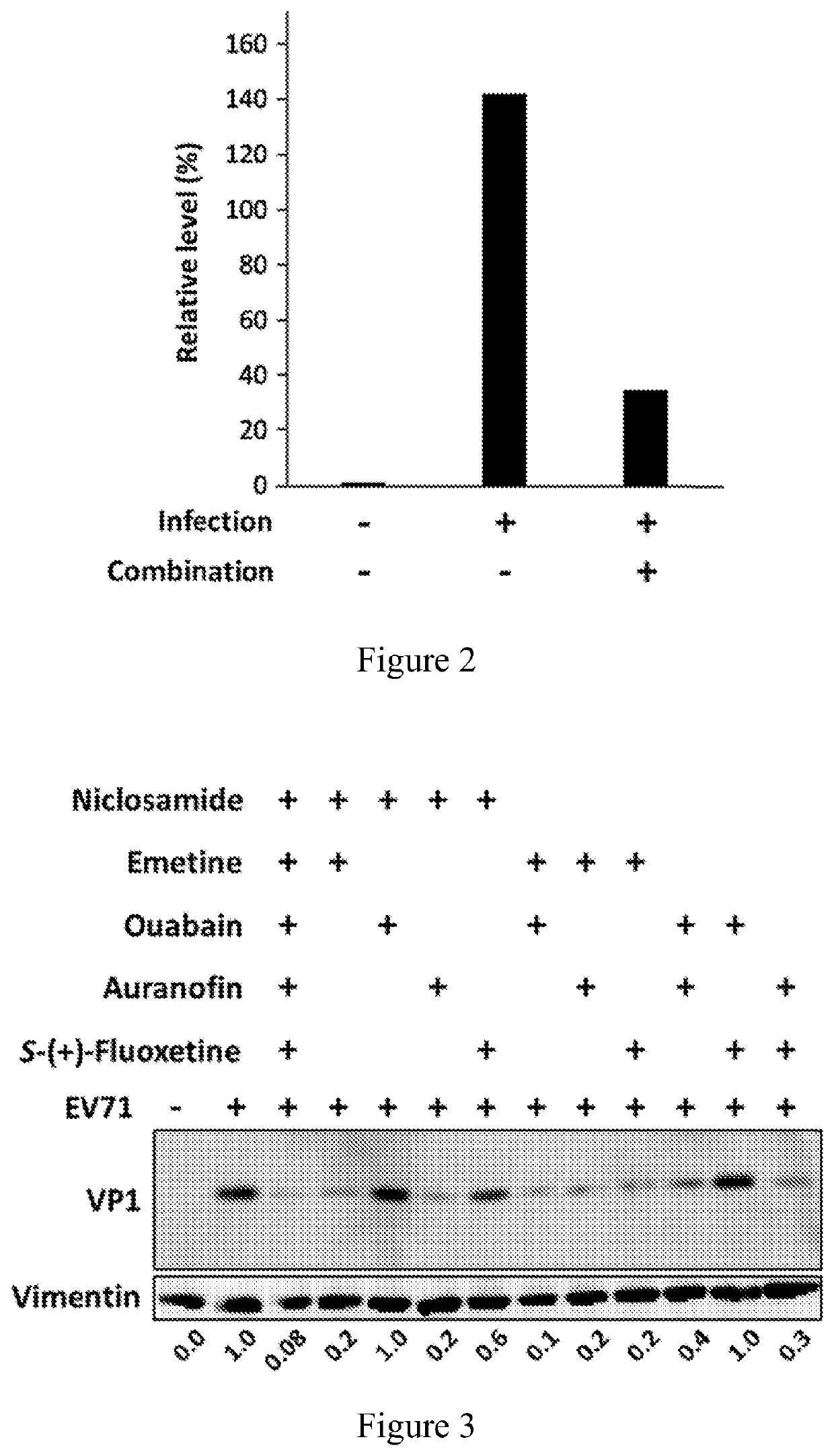 Combination therapy for EV71 infection