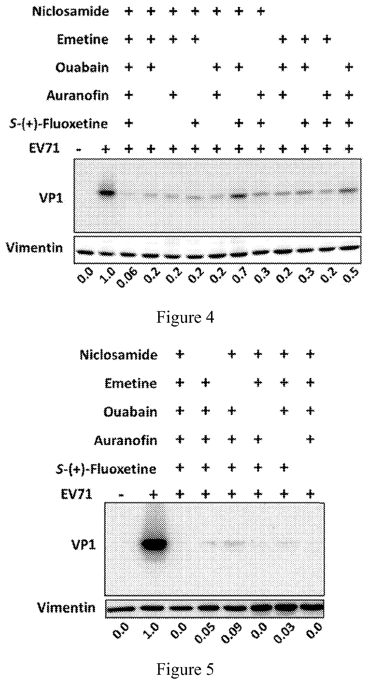 Combination therapy for EV71 infection