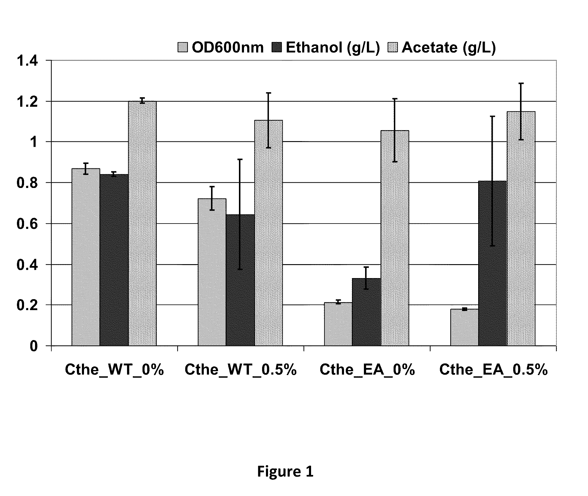 Nucleic Acid Molecules Conferring Enhanced Ethanol Tolerance And Microorganisms Having Enhanced Tolerance To Ethanol