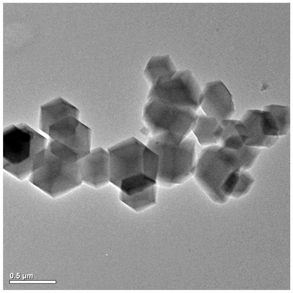 Triatomic-scale dispersed metal cluster loaded nitrogen-doped nano carbon fuel cell catalyst