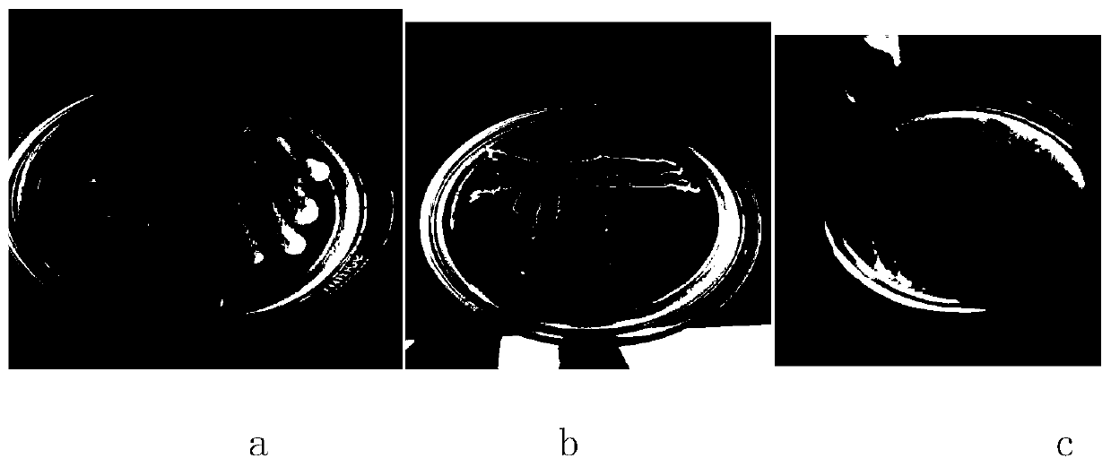 Lignocellulose-degrading composite microbial system and culture method and application thereof