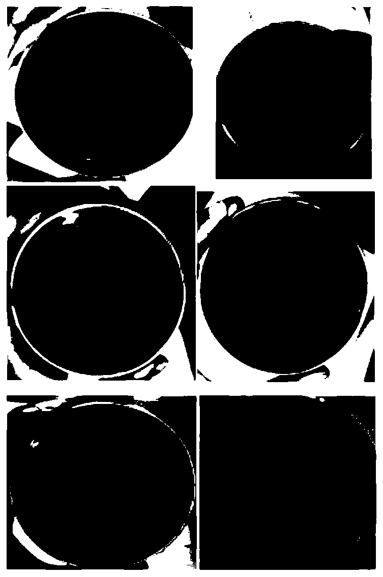 Lignocellulose-degrading composite microbial system and culture method and application thereof