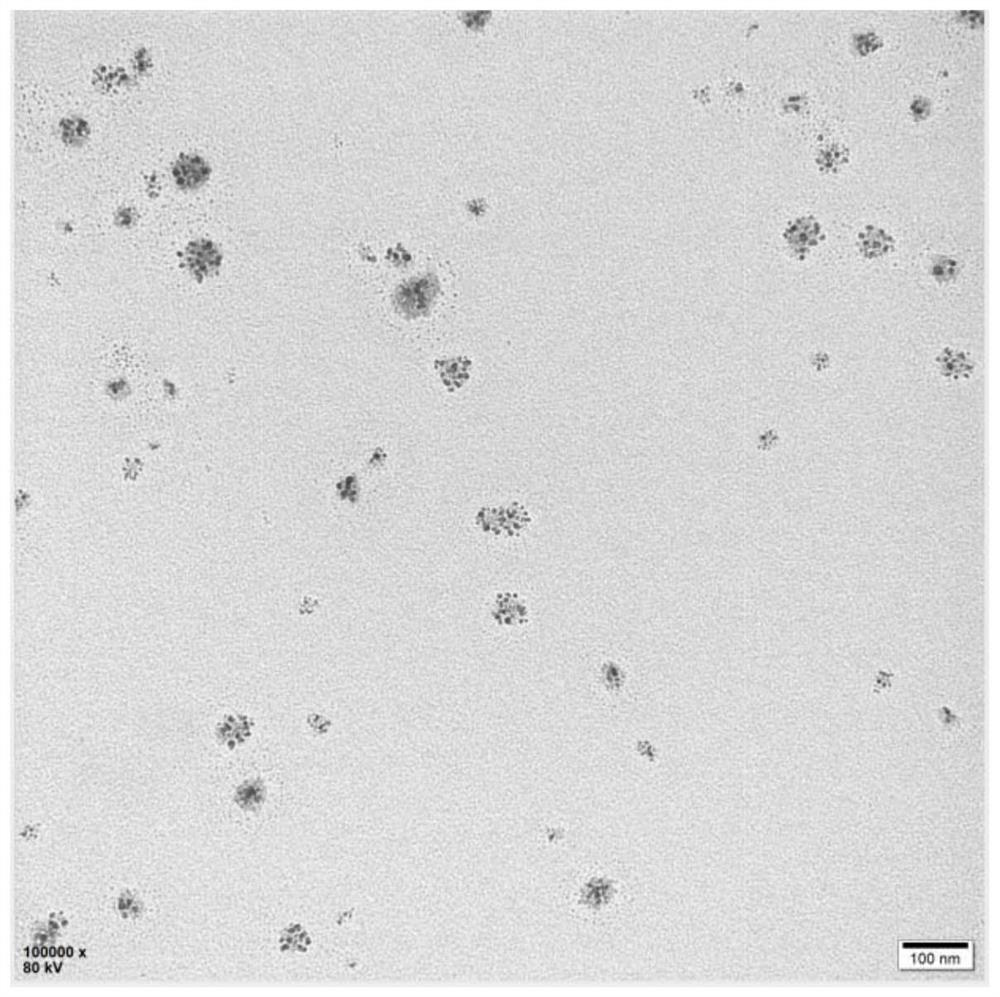 Autocatalytic antibacterial agent of polysaccharide-based nanodot aggregate and preparation method and application of autocatalytic antibacterial agent