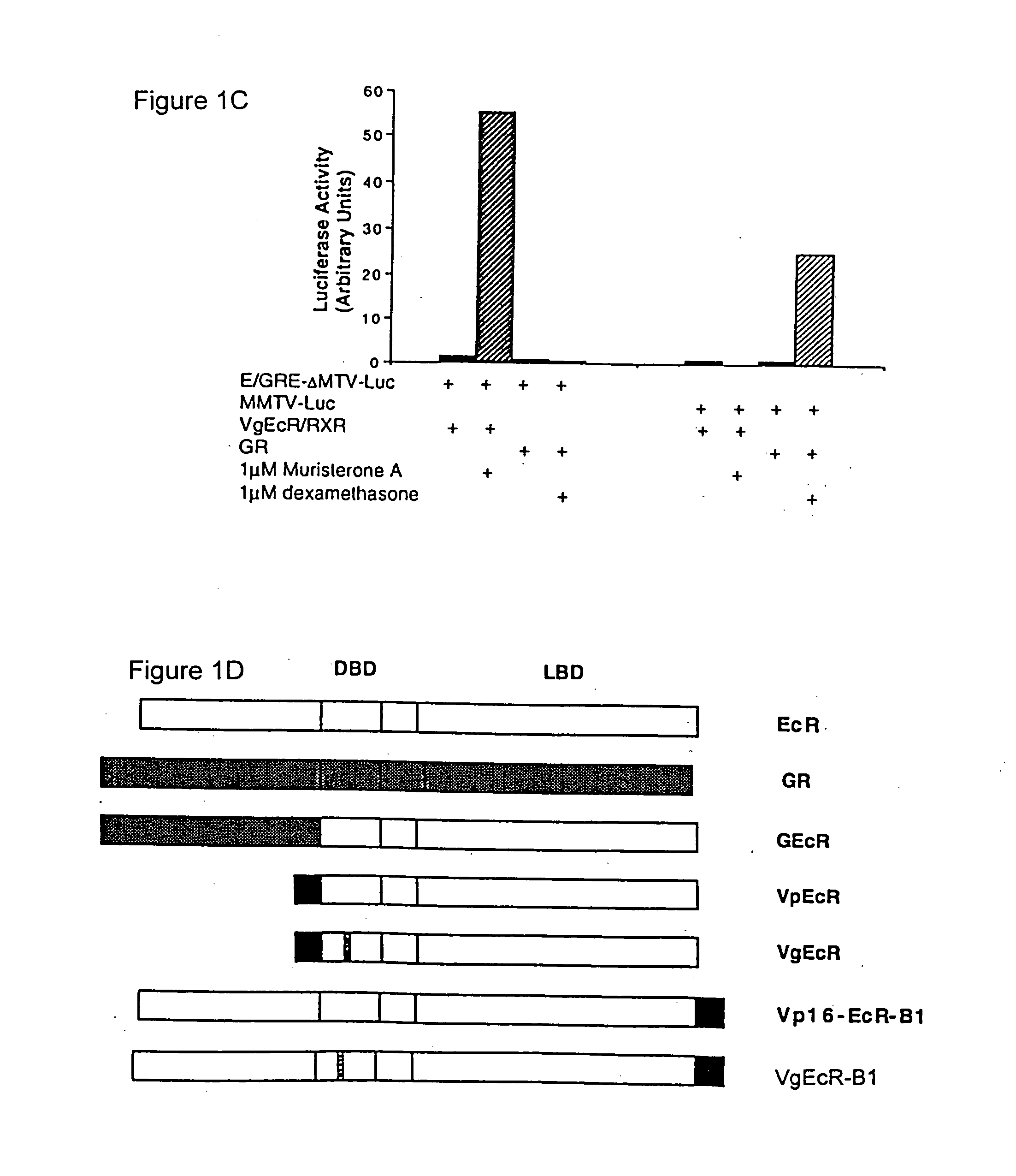 Methods for modulating expression of exogenous genes in mammalian systems, and products related thereto