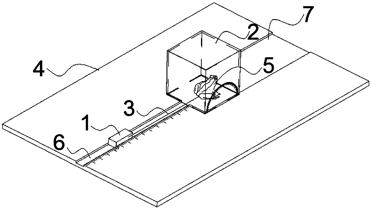 Measuring device for jumping force of black-spotted frog