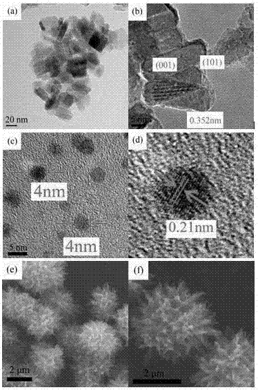 Preparation method of graphene quantum dots-sensitized urchin-like titanium dioxide photocatalytic material