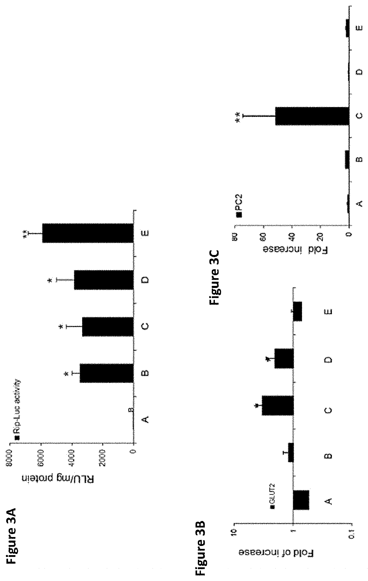 Transdifferentiated cell populations and methods of use thereof