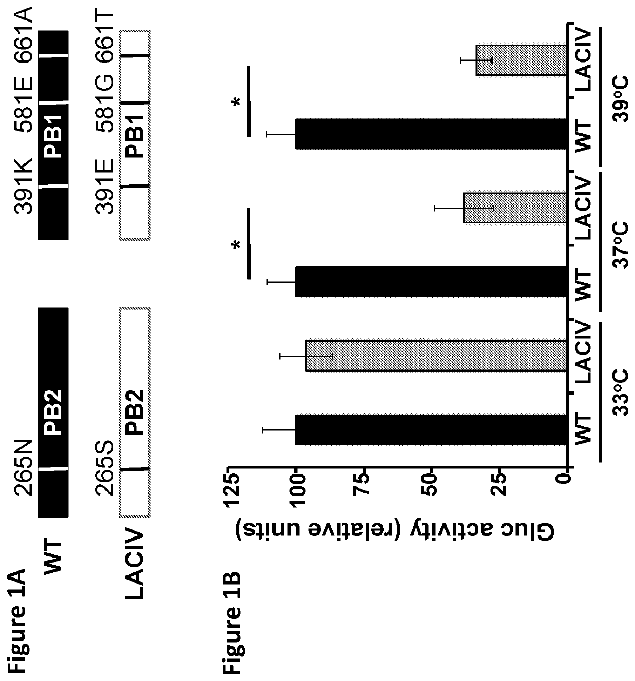 Live-Attenuated Vaccine Having Mutations in Viral Polymerase for the Treatment and Prevention of Canine Influenza Virus