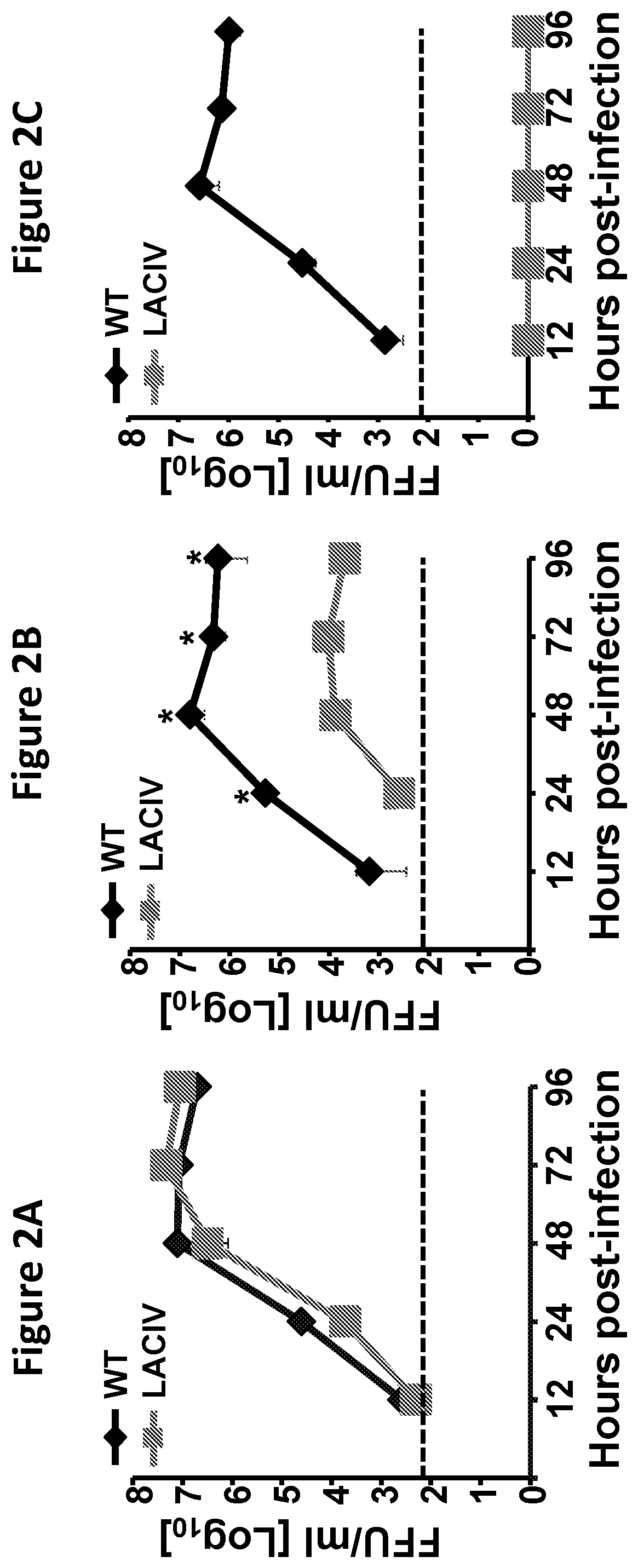 Live-Attenuated Vaccine Having Mutations in Viral Polymerase for the Treatment and Prevention of Canine Influenza Virus