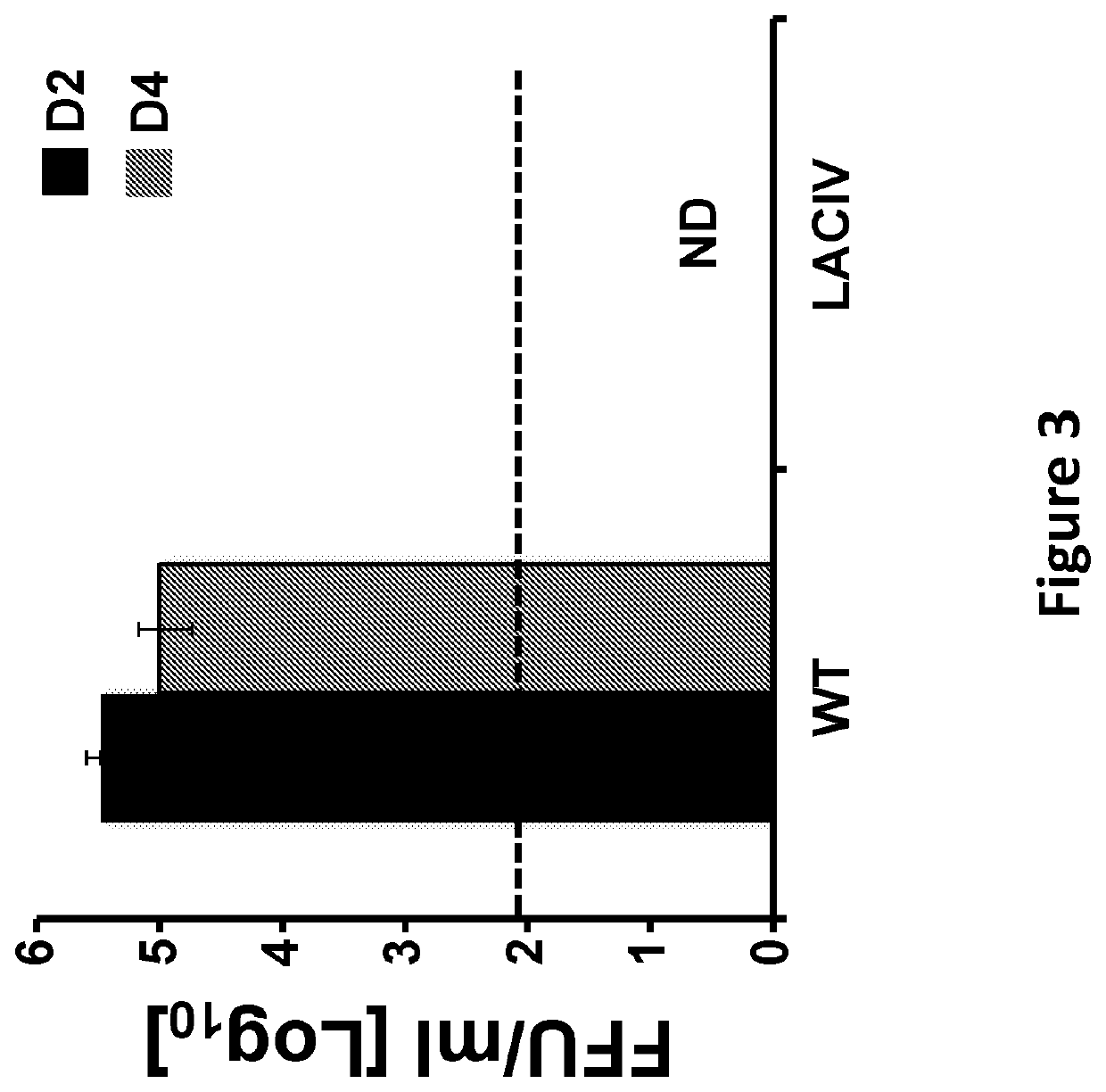 Live-Attenuated Vaccine Having Mutations in Viral Polymerase for the Treatment and Prevention of Canine Influenza Virus