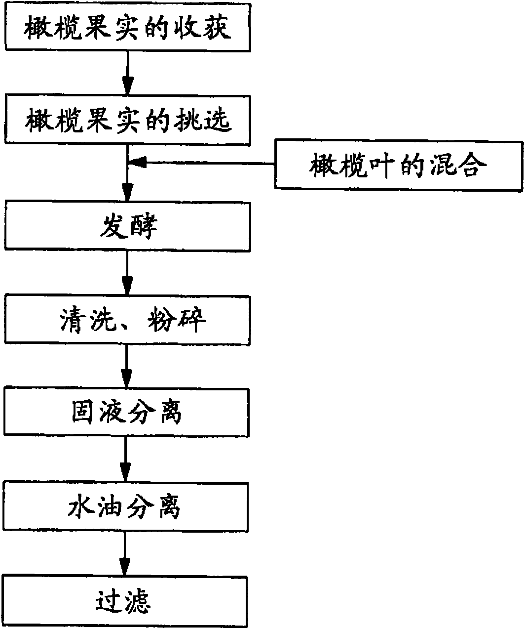 Olive extract oil and preparation method thereof