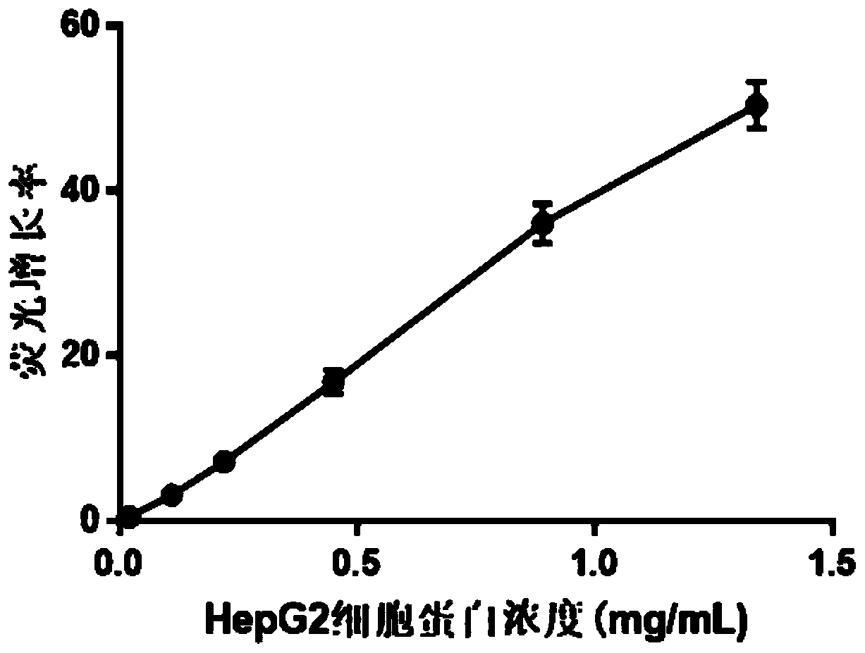 Polypeptide for PTP1B detection and fluorescent probe comprising polypeptide