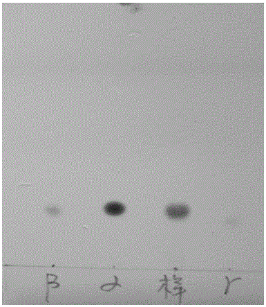 A Strain of Geobacillus stearothermophilus Producing Cyclodextrin Glucosyltransferase