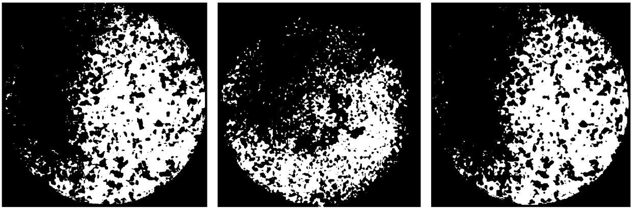 Herba lysimachiae solid tea beverage and preparation method thereof