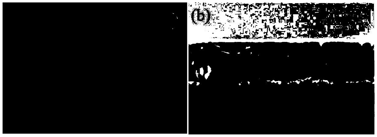 A kind of ferroelectric thin film material device and its preparation method