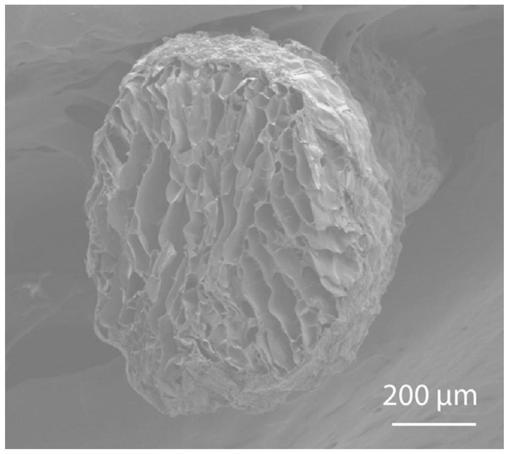 Preparation method, product and application of UV-resistant porous fiber with oriented pore structure
