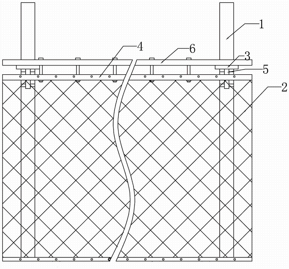 Fixing device outside the net for protective net body, protective net fixed outside the net and application thereof