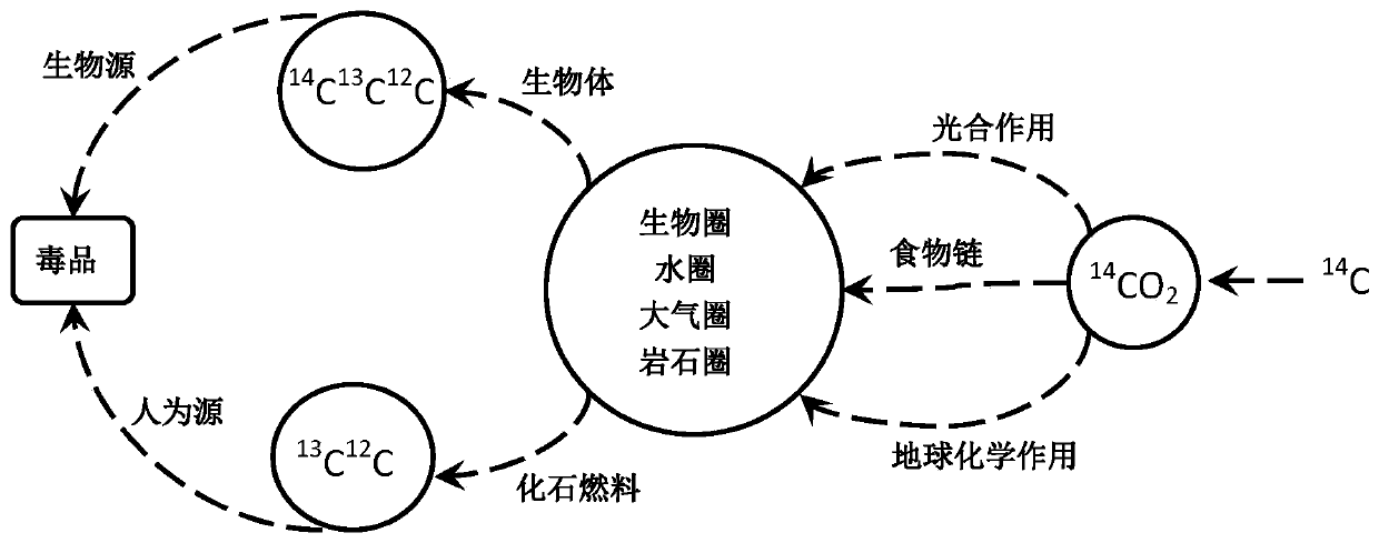 Method for testing drug sources based on radioactive carbon isotope