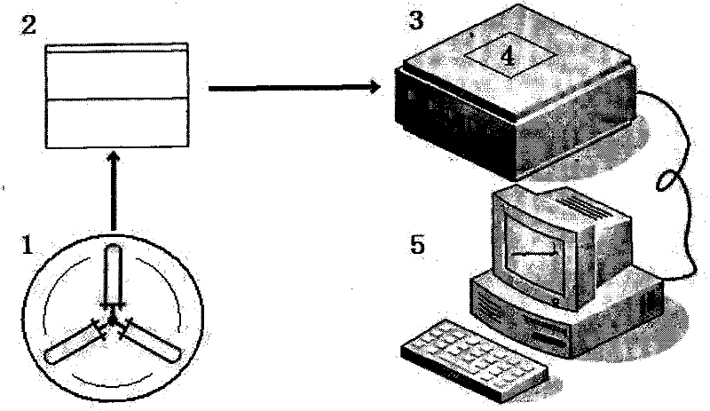 A sharpened device for early cancer diagnosis and treatment effect inspection