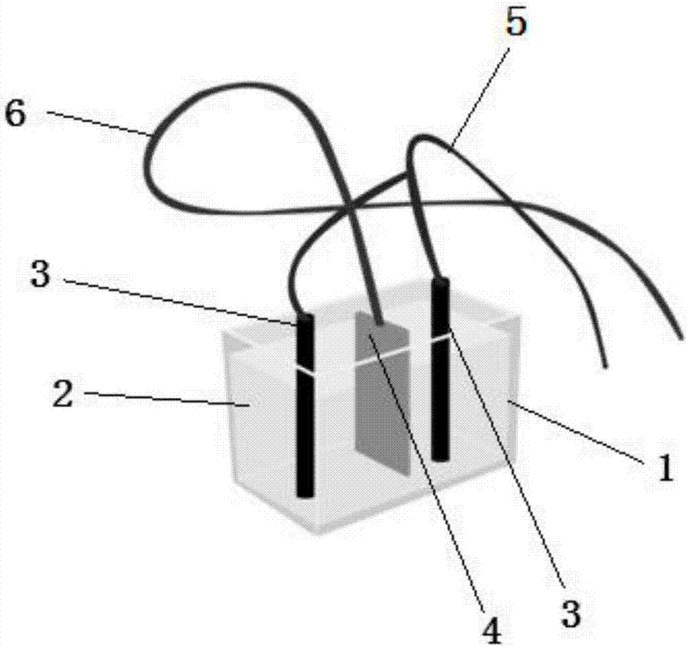 Method for preparing ferrate based on carbon sheet iron plating