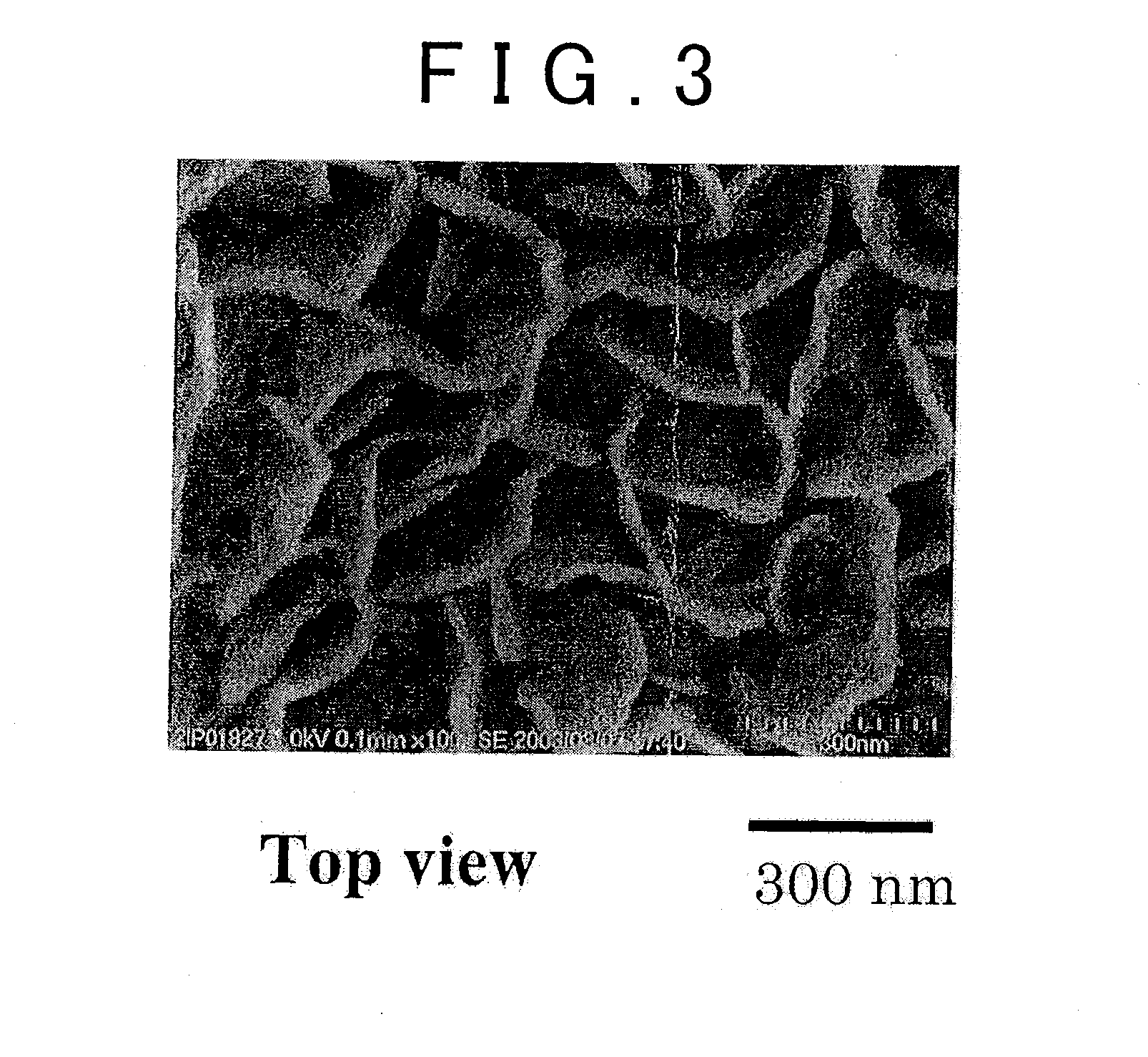 Positive electrode for lithium secondary battery, method for preparing the positive electrode, lithium secondary battery having the positive electrode, and vehicle having the lithium secondary battery