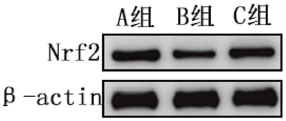 A genetic drug for affective disorders in children