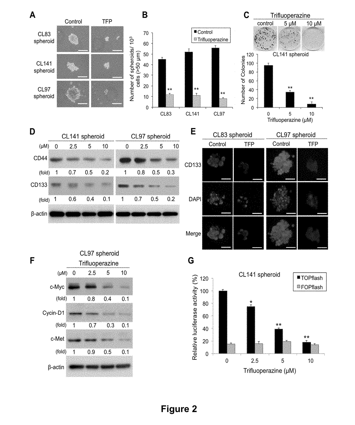 Pharmaceutical composition for treatment of cancer using phenothiazine