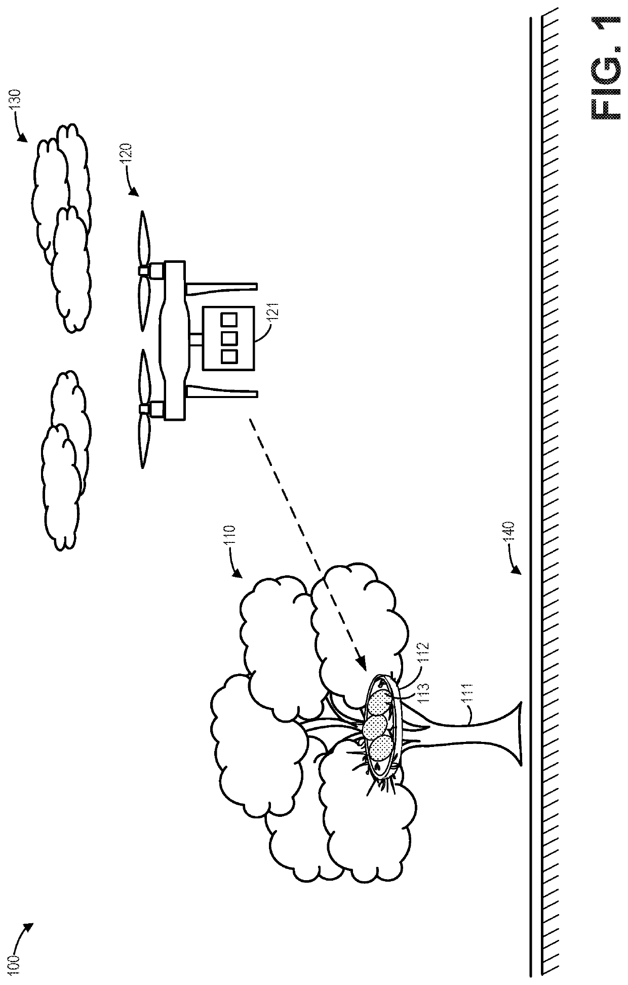 Method and system of remote egg oiling