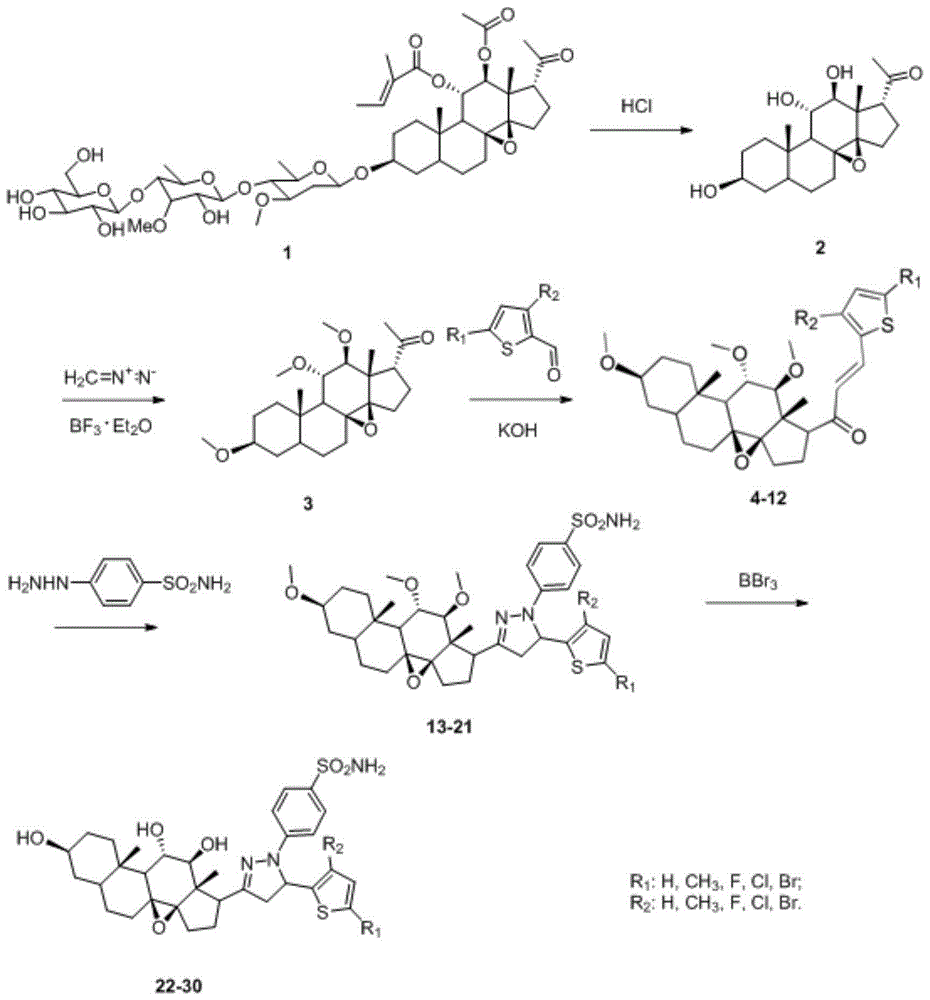 Pyrazoline sulfanilamide C21 steride saponin aglycone derivative containing thiophene skeleton, as well as preparation method and application of derivative