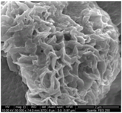 Preparation method of nano-structure carbon nitride