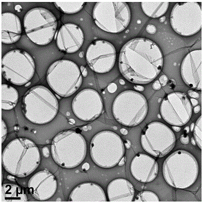 Preparation method of nano-structure carbon nitride