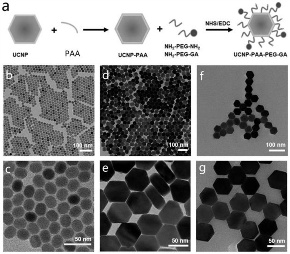 Non-invasive near-infrared light-controlled nano material for treating diabetes mellitus