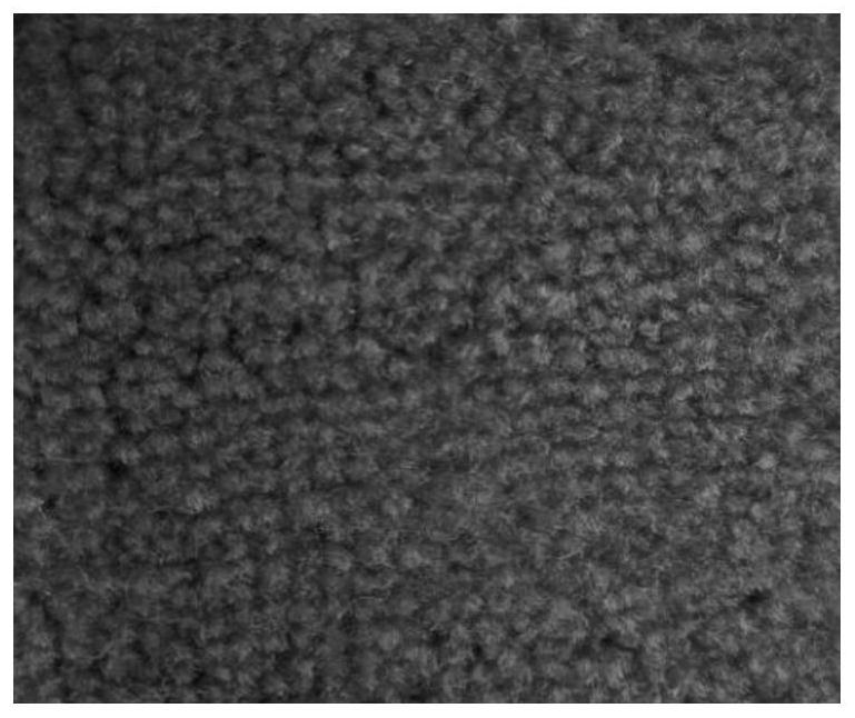 Ink-jet printing method for nylon wool carpet