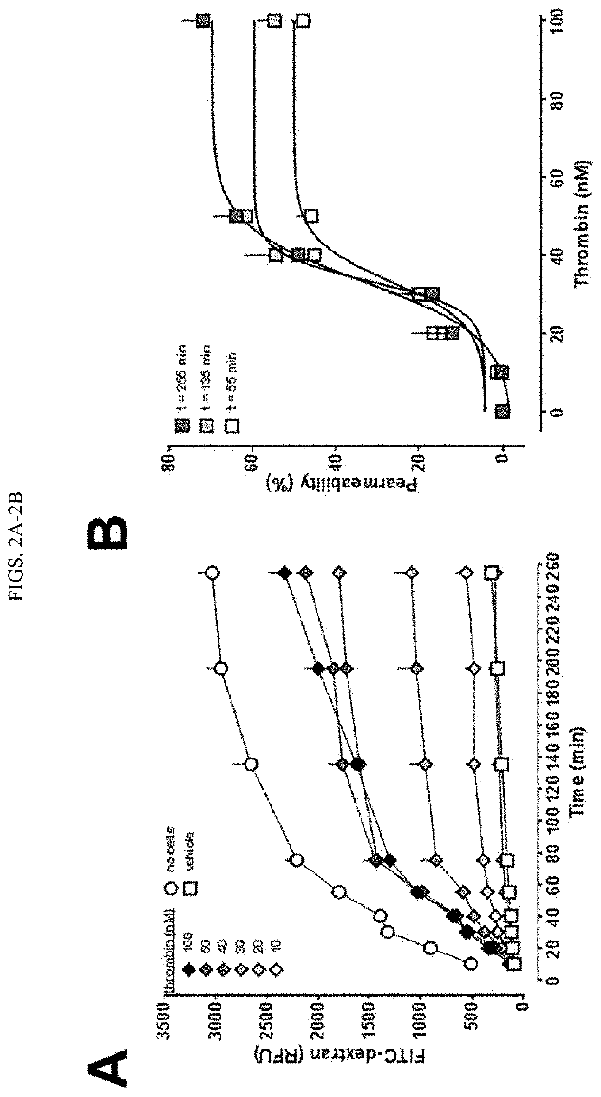 Methods of treating vascular leakage using cxcl12 peptides
