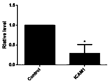 Molecular marker for diagnosis and prognosis judgment of canine breast tumor