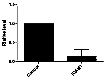 Molecular marker for diagnosis and prognosis judgment of canine breast tumor