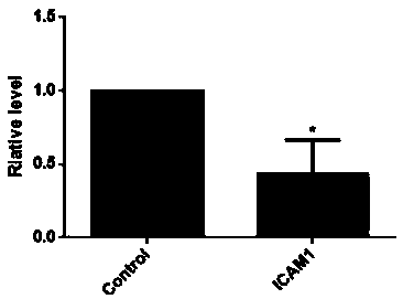 Molecular marker for diagnosis and prognosis judgment of canine breast tumor