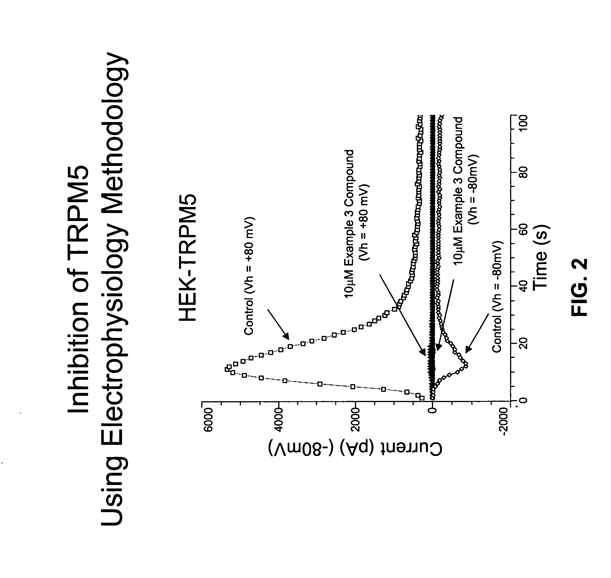 Hydrazone derivatives and uses thereof