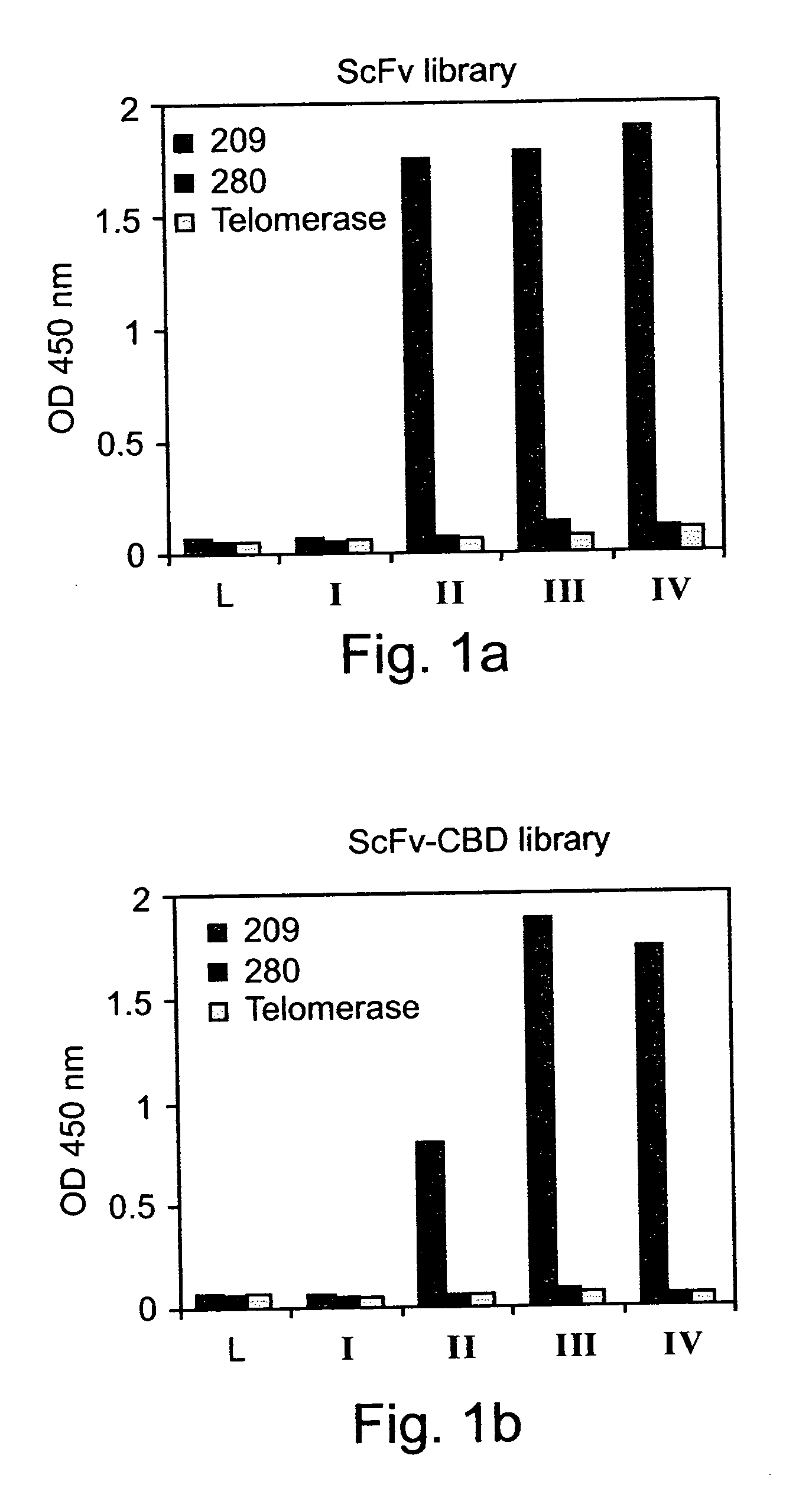 Antibody having a T-cell receptor-like specificity, yet higher affinity, and the use of same in the detection and treatment of cancer, viral infection and autoimmune disease