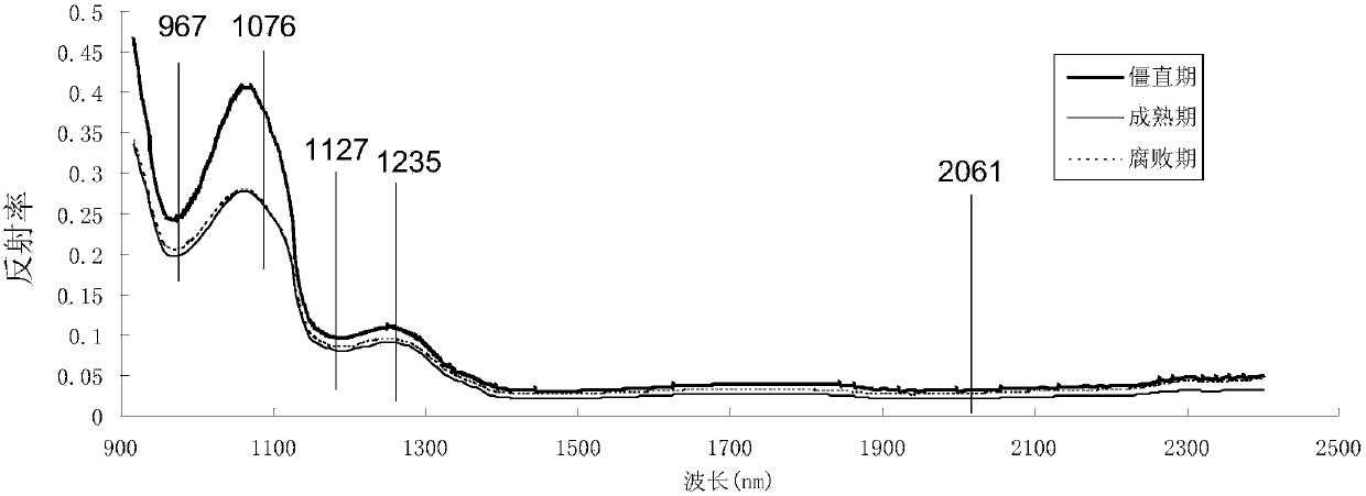 Visual detecting method for pork maturity condition