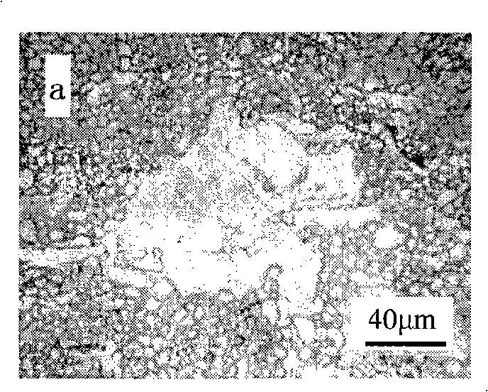 Magnesium-zincium-manganese based magnesium alloy containing cerium