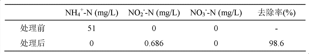 Bioelectrochemical denitriding reactor and application method thereof