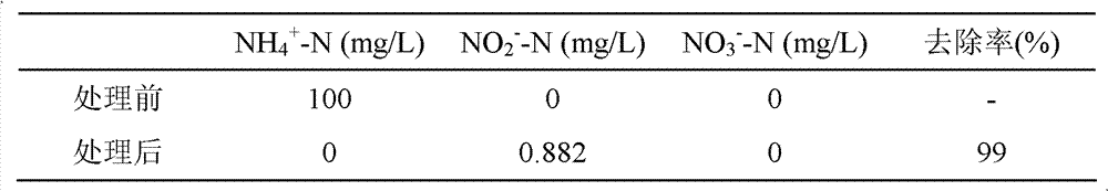 Bioelectrochemical denitriding reactor and application method thereof