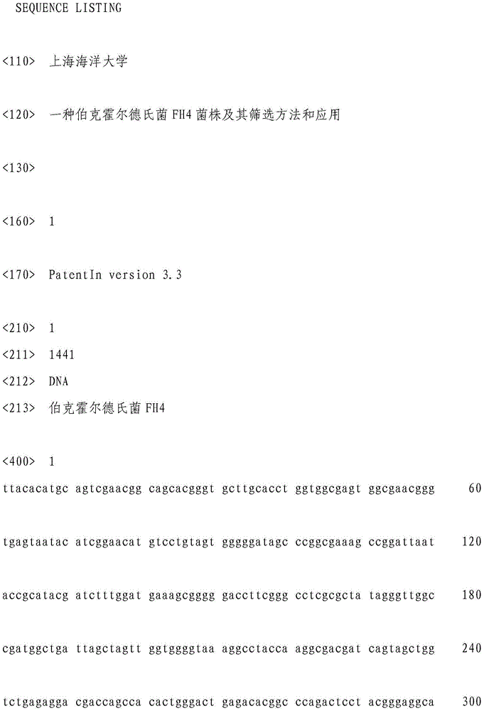 Burkholderia FH4 bacterial strain, and screening method and application thereof